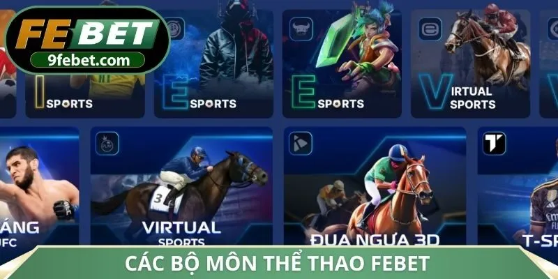 Các bộ môn thể thao FEBET