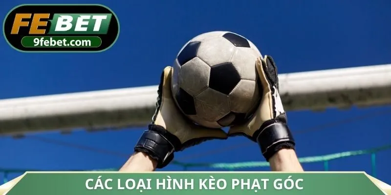 Các loại hình kèo phạt góc