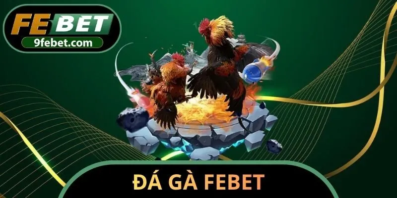 Đá gà FEBET