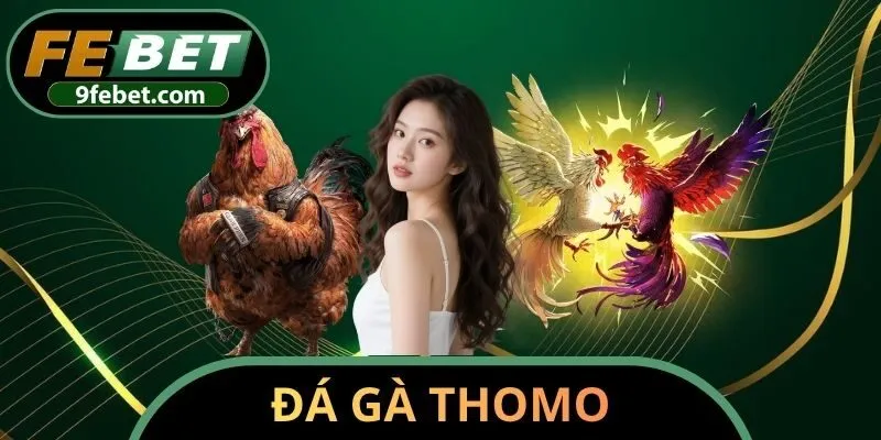 Đá gà Thomo