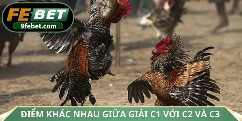 Điểm khác nhau giữa giải C1 với C2 và C3