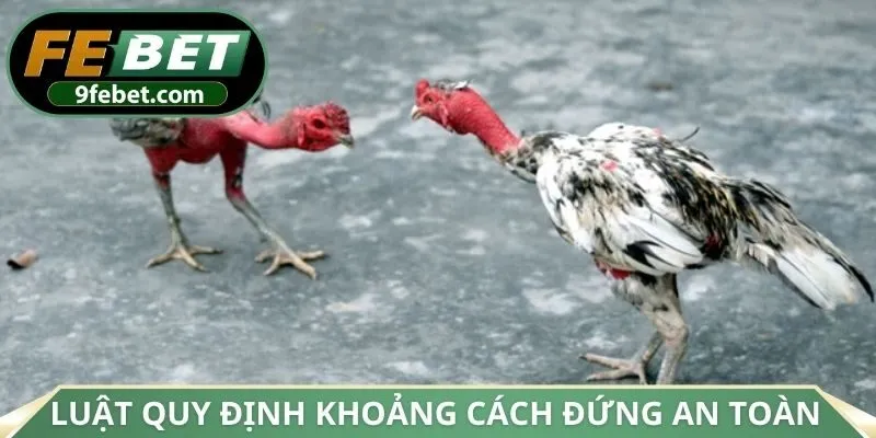 Luật quy định khoảng cách đứng an toàn