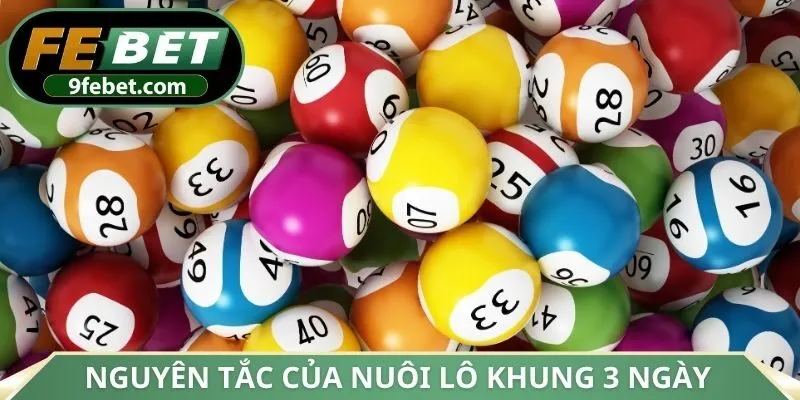 Nguyên tắc hoạt động của nuôi lô khung 3 ngày