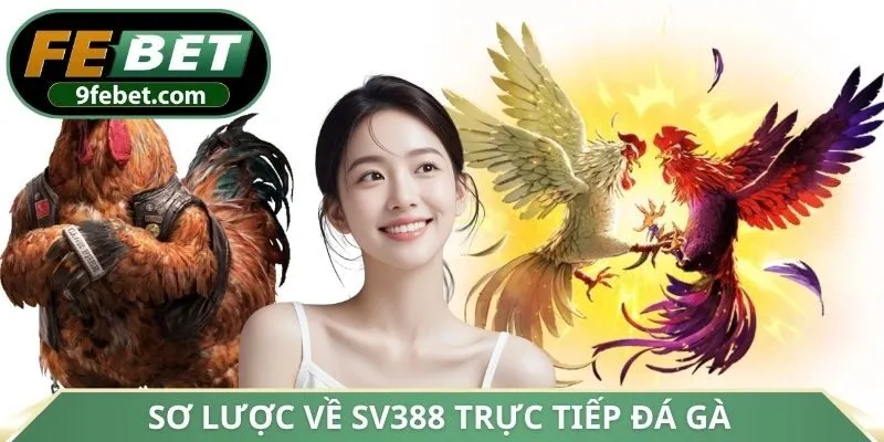Sơ lược về SV388 trực tiếp đá gà